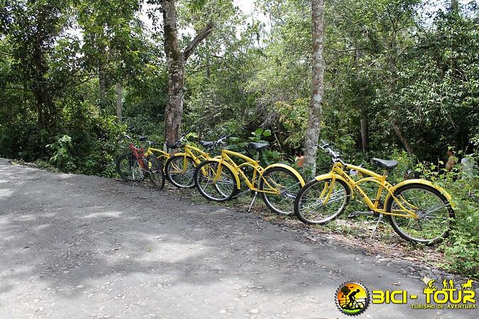 Bici Tour (Turismo En Bicicleta)